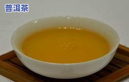 兰州普洱茶价格多少？一斤多少钱？专卖店地址