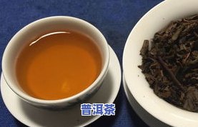 兰州普洱茶价格多少？一斤多少钱？专卖店地址