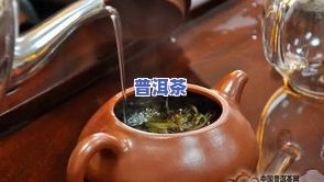 古树普洱茶能泡多少泡？冲泡方法与水温请求全解析