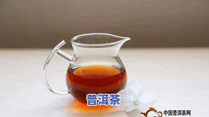 探索普洱茶茶香：种类、不足与仓味共存