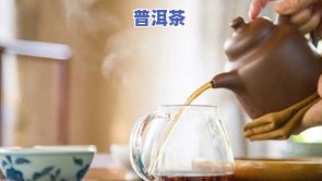 探索普洱茶茶香：种类、不足与仓味共存