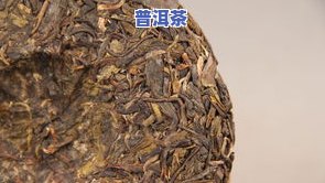 福州老树普洱茶价格及图片-福州老树普洱茶价格及图片大全