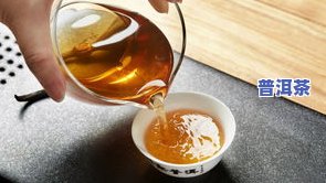 斗金普洱茶：天源、金斗系列，2014年新品生茶，优质选品