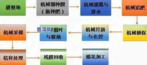 怎样找到茶叶的生产日期？详细步骤在这里