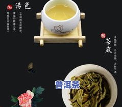 邦威普洱茶是哪里出的-邦威普洱茶是哪里出的