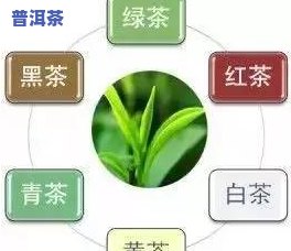 济南茶叶场哪里便宜？详细对比分析