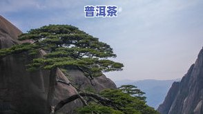 黄山卖茶叶的老奶奶-黄山卖茶叶的老奶奶茶叶怎么样