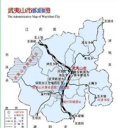 勐腊茶叶：产地、市场与主产区全揭秘