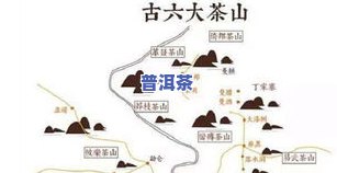 勐腊茶叶：产地、市场与主产区全揭秘