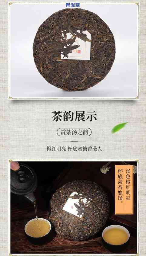 冰岛普洱茶哪个牌子好？知名的评价与推荐