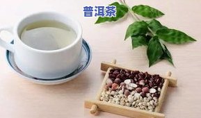 普洱茶入：生熟皆可，用量与方剂探讨