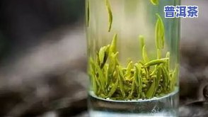 茶叶泡出来颜色翠绿是什么茶？品种、类别全揭秘！