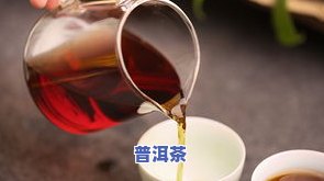 普洱茶茶-普洱茶能治什么