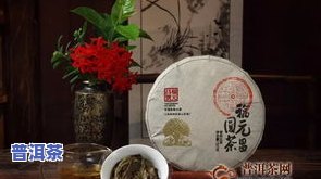 湖南老茶厂：传承百年制茶技艺，打造优质湖南老茶叶