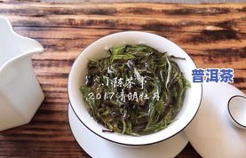 景迈山普洱茶：绿茶还是黄茶？口感与品质如何？