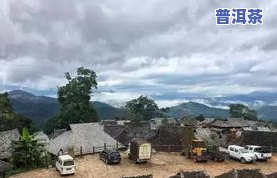 普洱茶最出名的茶山是哪里-普洱茶最出名的茶山是哪里的