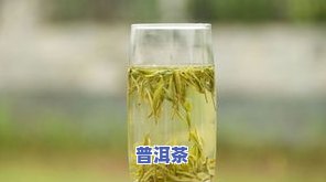 如何让茶叶变黄：从绿茶到黄茶的制作方法