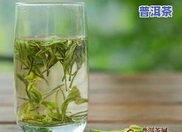 如何让茶叶变黄：从绿茶到黄茶的制作方法