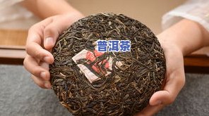 普洱茶饼里有鸟的羽毛-普洱茶饼里有鸟的羽毛吗