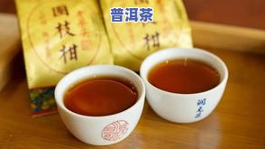 带你领略普洱茶的魅力：深度解析与品鉴指南