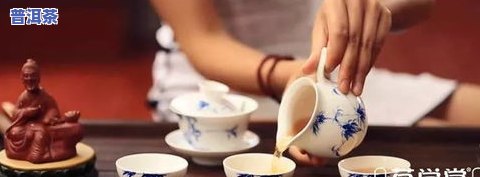 带你领略普洱茶的魅力：深度解析与品鉴指南