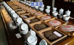 全面解析普洱茶：产地、种类、冲泡方法与品鉴技巧