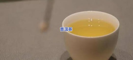 普洱茶养茶宠：适合养什么？效果如何？看图了解！