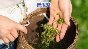 茶叶里有农残留吗-茶叶里有农残留吗能喝吗