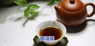 劲松普洱茶-劲润普洱茶