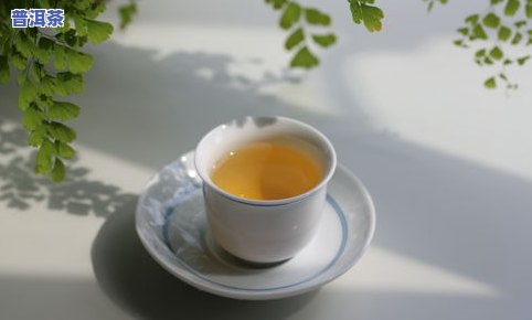 普洱茶用多少度水泡茶-普洱茶用多少度水泡茶更好