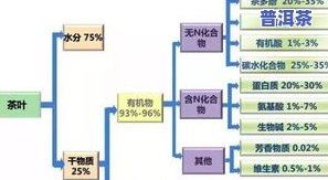 全面熟悉茶叶内含物质：详解图解、视频与示意图