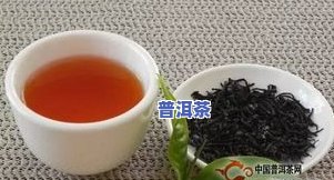 全面解析：茶叶内含物主要有哪些及其种类、成分