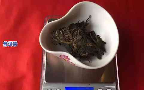 普洱茶与金银花能同泡吗？功效怎样？详细解析