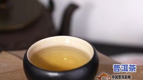 普洱茶tv：最新海外版T8633，一站式畅享全球茶文化