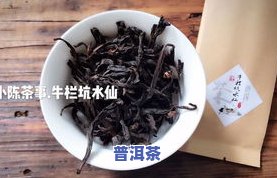 茶叶普洱茶品种大全：十大排名、价格与图片全览