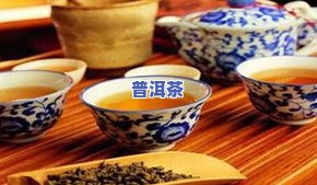 普洱茶着迷-普洱茶懂过