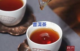 普洱茶一天的更佳饮用量：多少克最适合？