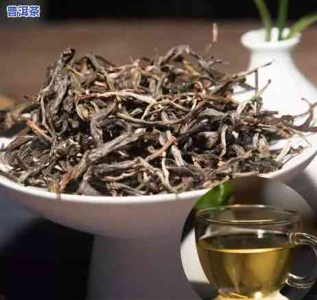 普洱茶有货-普洱茶货源