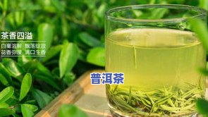 四川竹叶青茶叶产地：探寻名茶的源头