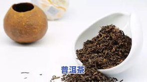 上海陈皮普洱茶-上海陈皮普洱茶产地