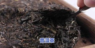 老班章与冰岛普洱茶的区别及口感对比