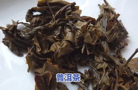 普洱茶泡出来有腥味正常吗？原因及是否可以饮用解析