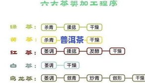 茶叶分哪六大系？详解其分类与产品类型