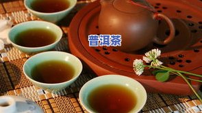 康熙年间普洱茶：生茶还是熟茶？御制普洱茶的价格与鉴赏