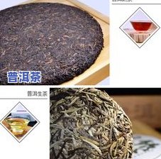 康熙年间普洱茶：生茶还是熟茶？御制普洱茶的价格与鉴赏