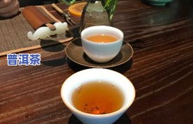 普洱茶加什么泡好喝？详解搭配技巧与口感提升方法