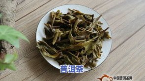 普洱茶八爷：传承百年制茶技艺，品味正宗云南风味