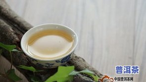 普洱茶八爷：传承百年制茶技艺，品味正宗云南风味