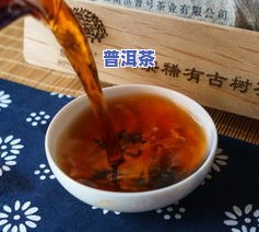 普洱茶在哪里？探索最有名的普洱茶庄及排行榜