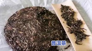 全面解析：普洱松针茶的功效、作用及禁忌